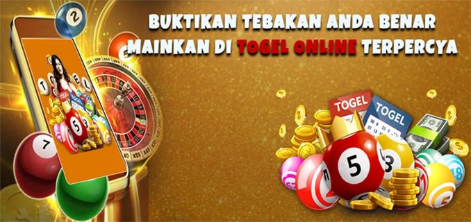 Apk Dinasti138